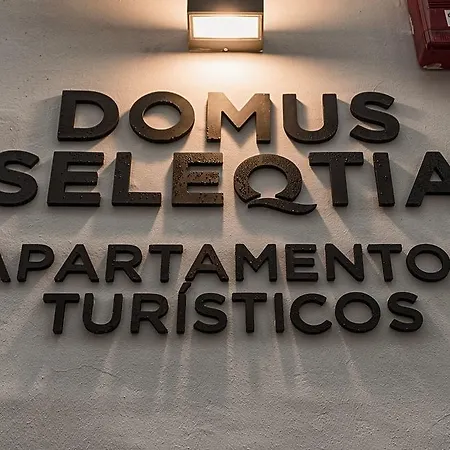 アパート Turisticos Domus Seleqtia Plaza Mayor *