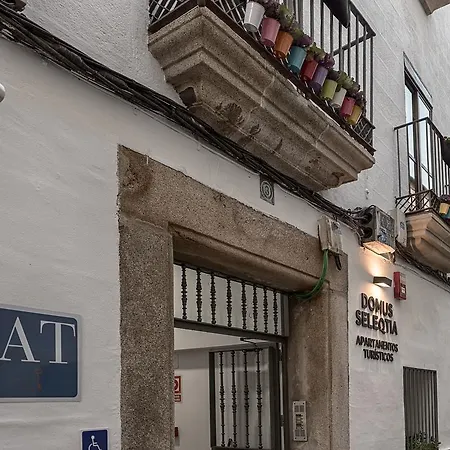 Apartment Turisticos Domus Seleqtia Plaza Mayor *