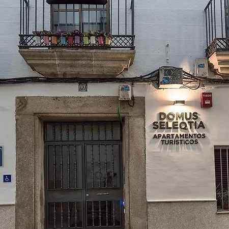 アパート Turisticos Domus Seleqtia Plaza Mayor Caces