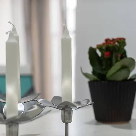 Turisticos Domus Seleqtia Plaza Mayor