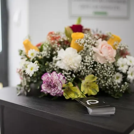 Turisticos Domus Seleqtia Plaza Mayor * Caces