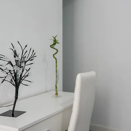 アパート Turisticos Domus Seleqtia Plaza Mayor Caces