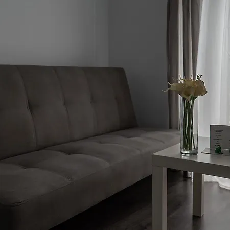 Turisticos Domus Seleqtia Plaza Mayor *