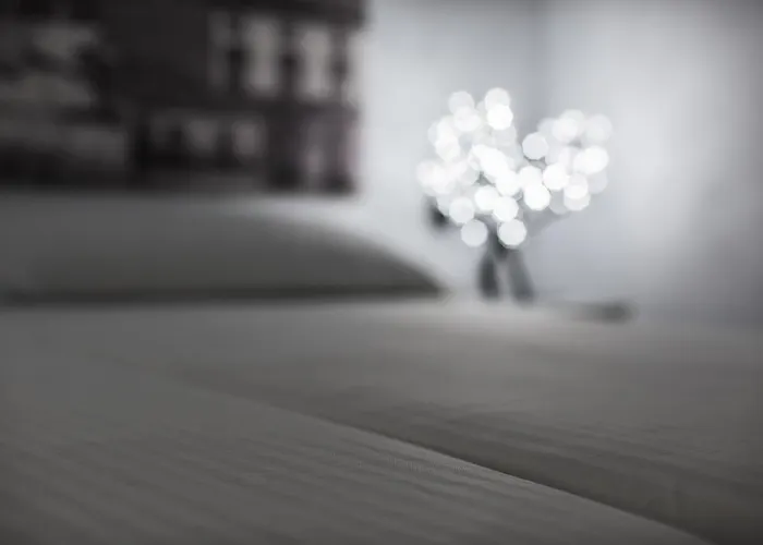 Turisticos Domus Seleqtia Plaza Mayor Caces