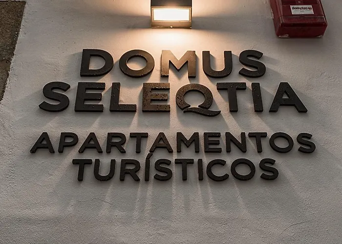 Appartement Turisticos Domus Seleqtia Plaza Mayor *