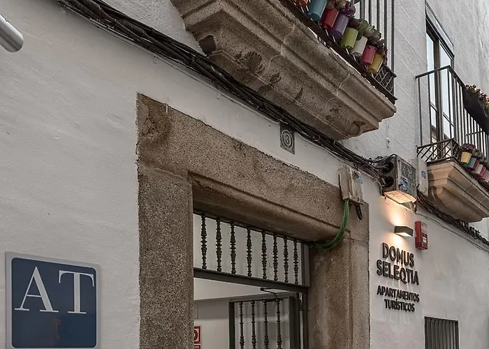 Apartamento Turísticos Domus Seleqtia Plaza Mayor *