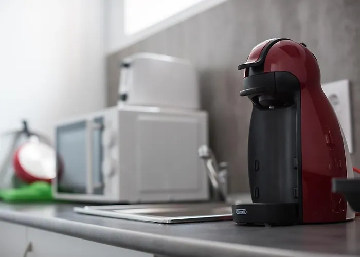 Turisticos Domus Seleqtia Plaza Mayor * Caces