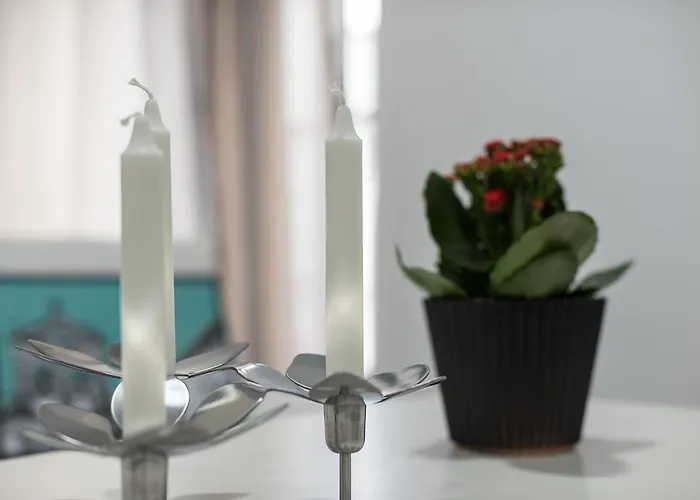 Turísticos Domus Seleqtia Plaza Mayor