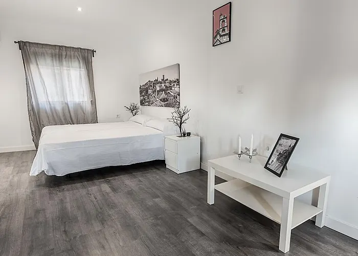 Turísticos Domus Seleqtia Plaza Mayor *