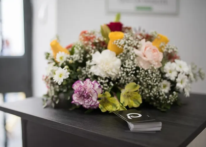 Turísticos Domus Seleqtia Plaza Mayor * Caces