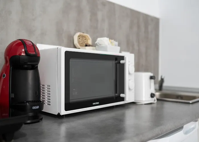 Turísticos Domus Seleqtia Plaza Mayor * Caces