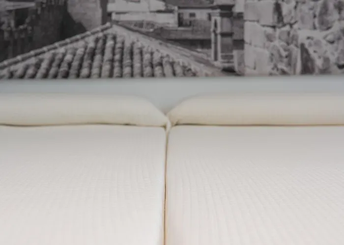 Turisticos Domus Seleqtia Plaza Mayor *